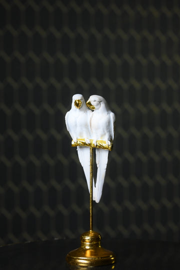 White Cockatoo